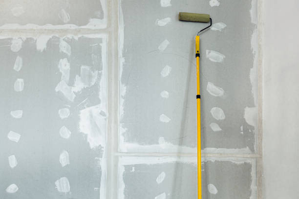 Best Drywall Sanding and Smoothing  in Dandridge, TN